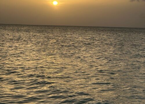 Ride Anytime, Anywhere – Your Reliable 24 Hour Taxi Service in TCI